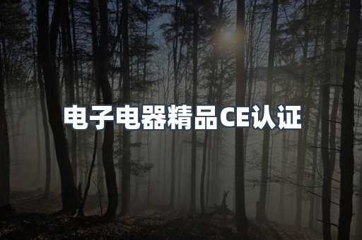 口罩防护类系列CE认证